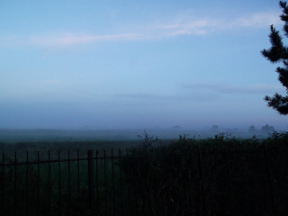 Some fog at the bayou behing our apartments this morning!