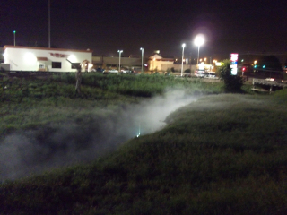 Bayou river more or less normal