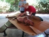 The polynesian elders caught a pig and we cooked it for Pday!!