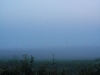 More fog